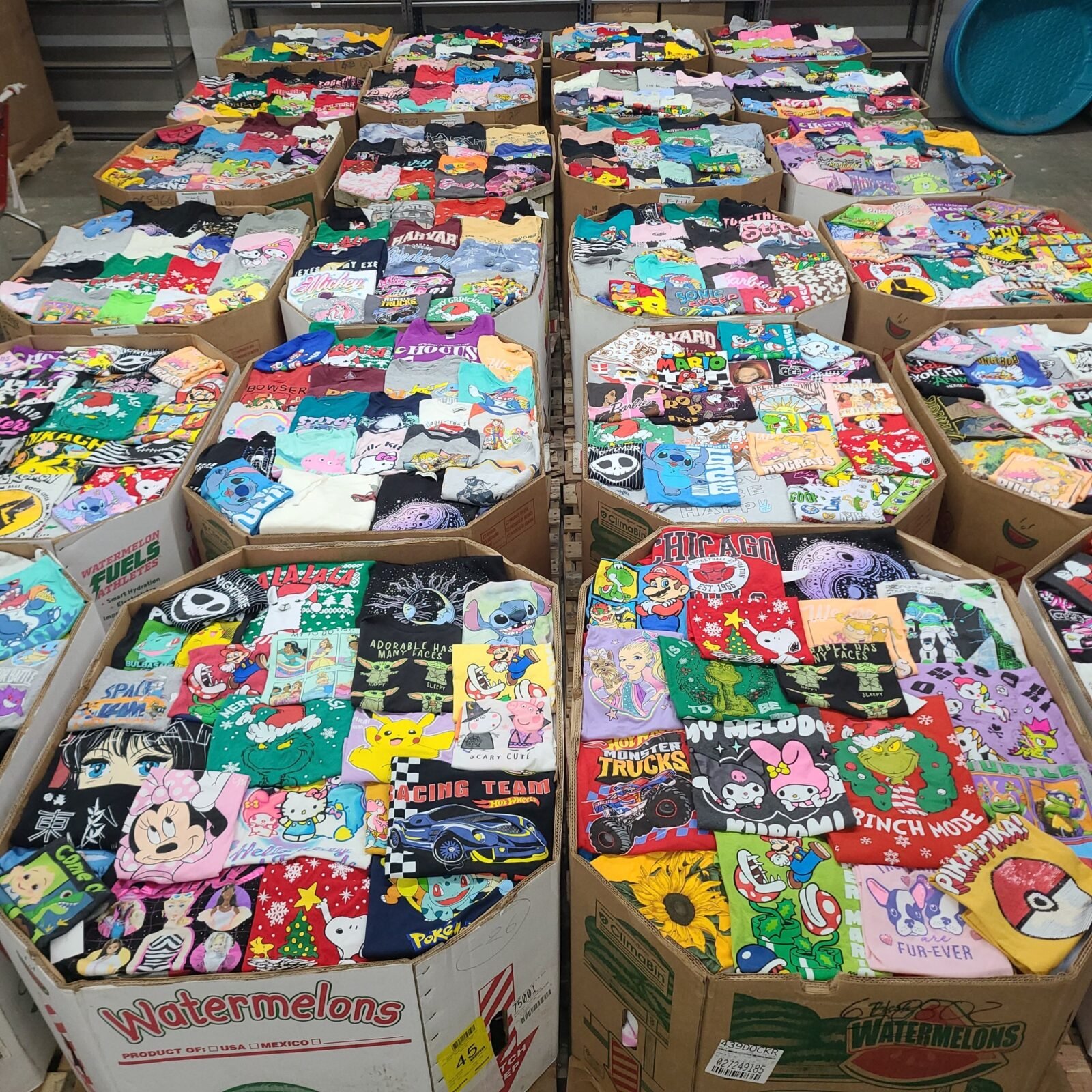 Licensed Graphic Tees Pallet - 700 Piece Apparel Liquidation Lot