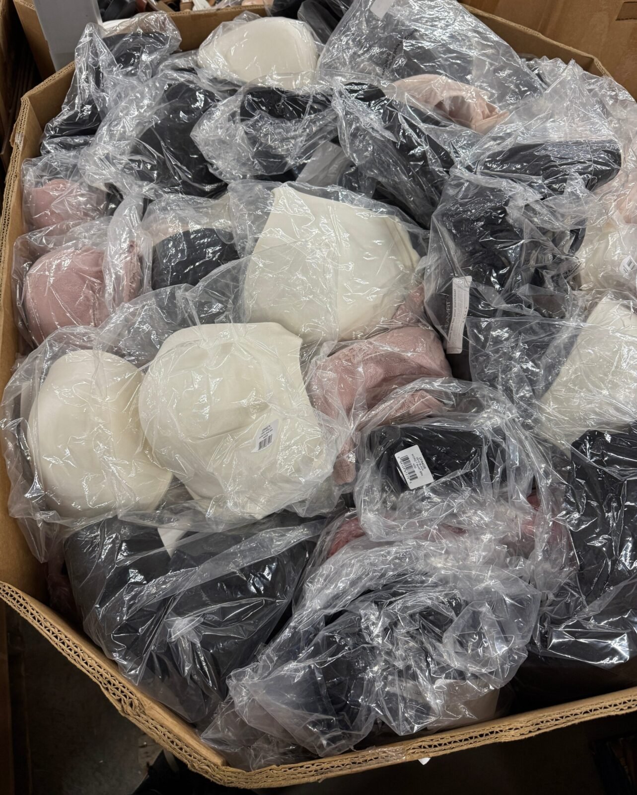 Dreamfit Plus Size Bras Pallet