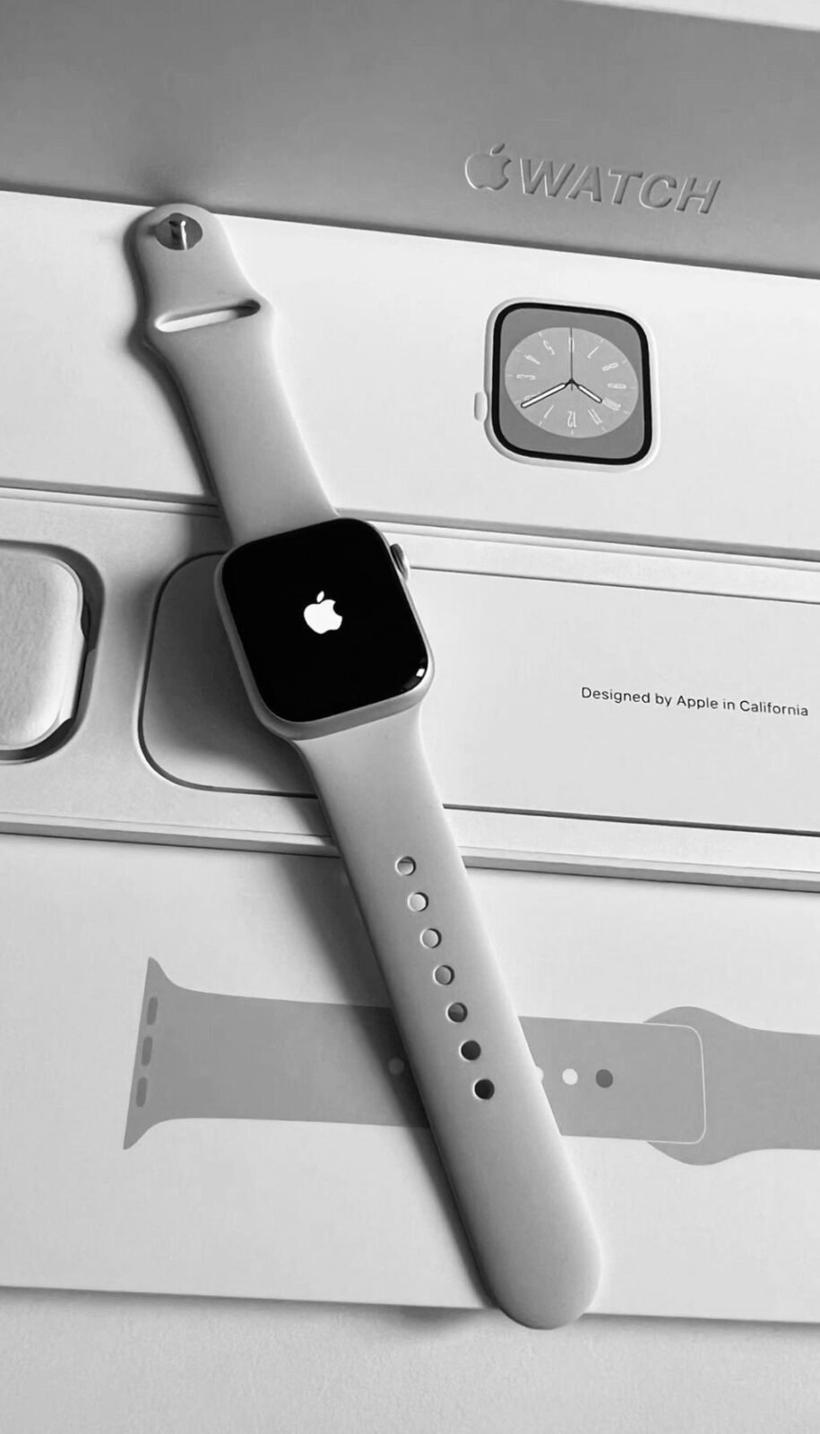Apple Watch Liquidation Lot
