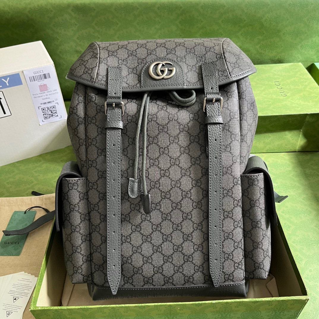 Designer Luxury Backpack Pallet