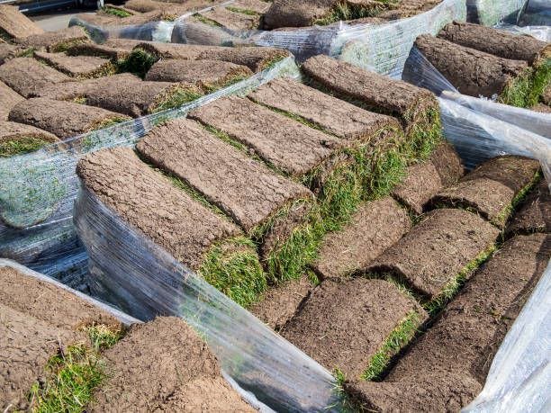 Pallet of Sod for Sale