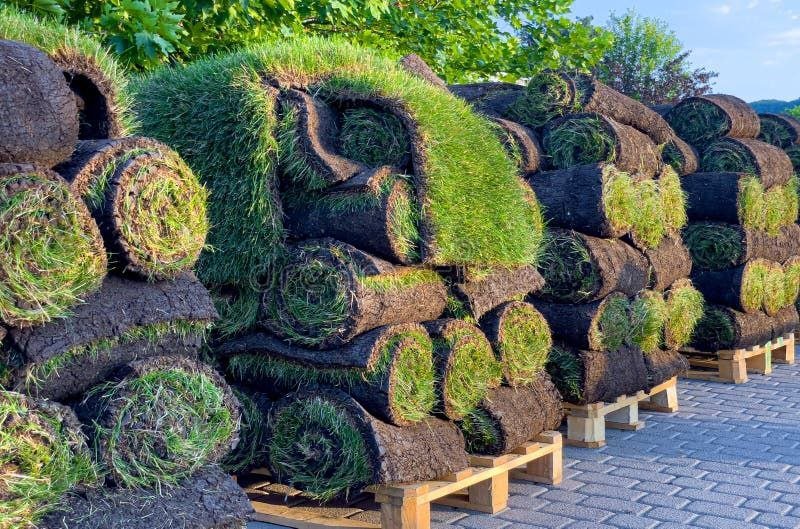 Pallet of Sod for Sale