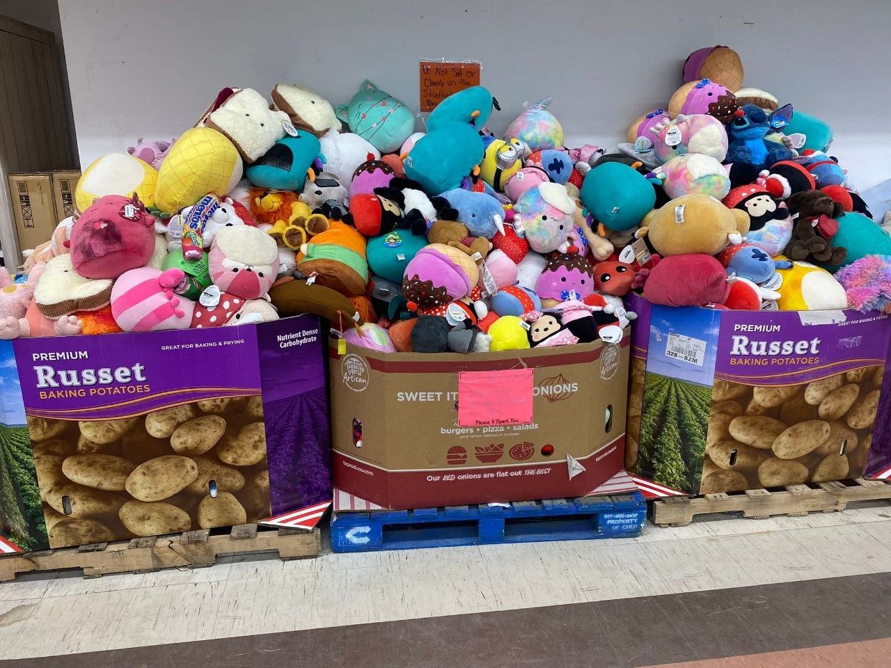 Wholesale Dog Toys Pallet